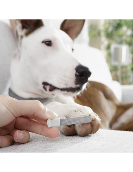 Coupe-griffes avec LED pour Animaux de Compagnie Clipet InnovaGoods