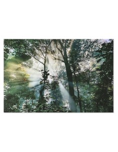 Cadre Home ESPRIT Vert Imprimé 150 x 0,4 x 100 cm
