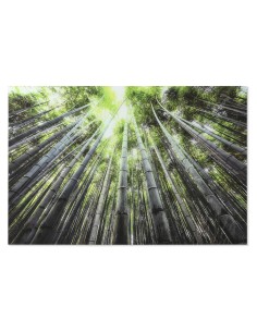 Cadre Home ESPRIT Vert Imprimé 150 x 0,4 x 100 cm