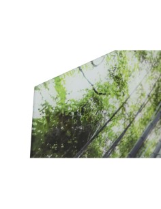 Cadre Home ESPRIT Vert Imprimé 150 x 0,4 x 100 cm 2