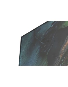 Cadre Home ESPRIT Imprimé 150 x 0,4 x 100 cm 2