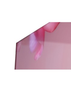 Cadre Home ESPRIT Rose Imprimé 150 x 0,4 x 100 cm 2