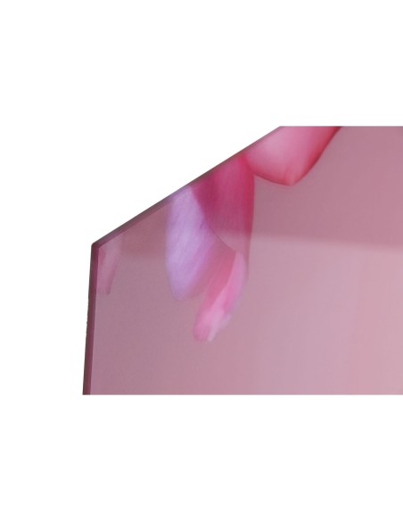 Cadre Home ESPRIT Rose Imprimé 150 x 0,4 x 100 cm