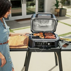 Barbecue Portable NINJA OG901EU 2