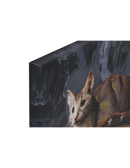Cadre Home ESPRIT Chat Loft 60 x 3 x 90 cm (2 Unités)