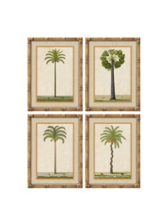 Cadre Home ESPRIT Vert Naturel Palmiers Tropical 45 x 2,5 x 60 cm (4 Unités)