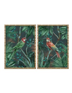 Cadre Home ESPRIT Vert Perroquet Tropical 50 x 2,8 x 70 cm (2 Unités)