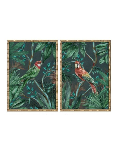 Cadre Home ESPRIT Vert Perroquet Tropical 50 x 2,8 x 70 cm (2 Unités)