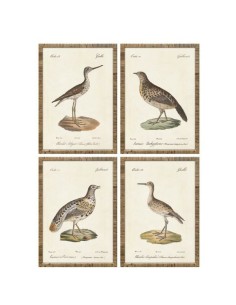 Cadre Home ESPRIT Beige Oiseaux Cottage 40 x 2,5 x 50 cm (4 Unités)