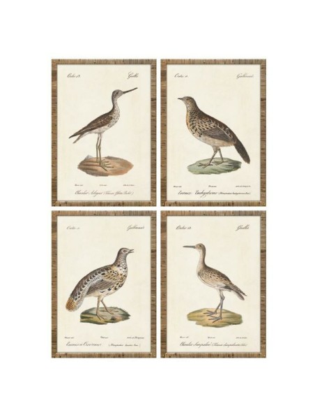Cadre Home ESPRIT Beige Oiseaux Cottage 40 x 2,5 x 50 cm (4 Unités)
