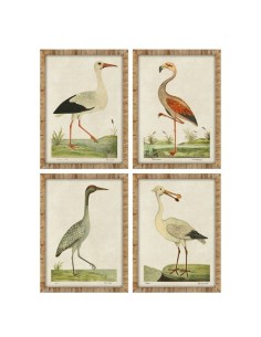 Cadre Home ESPRIT Beige Oiseaux Traditionnel 50 x 2,5 x 40 cm (4 Unités)