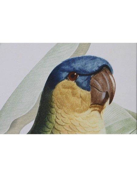 Cadre Home ESPRIT Jaune Vert Perroquet Tropical 50 x 2,5 x 70 cm (2 Unités)