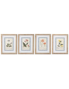 Cadre Home ESPRIT Shabby Chic Plantes botaniques 40 x 2,5 x 50 cm (4 Unités)