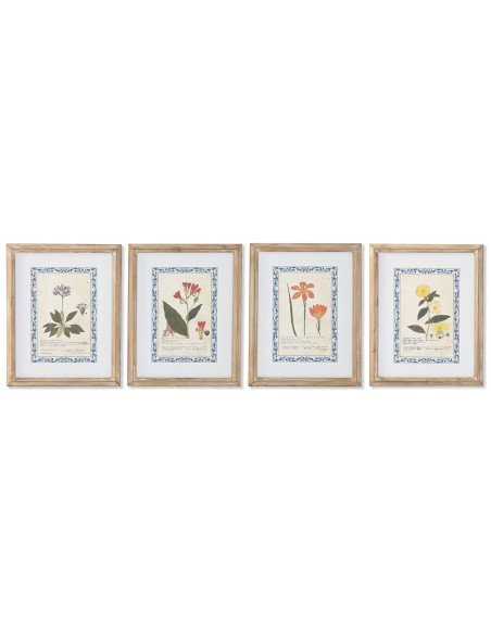 Cadre Home ESPRIT Shabby Chic Plantes botaniques 40 x 2,5 x 50 cm (4 Unités)