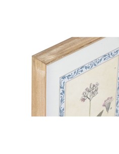 Cadre Home ESPRIT Shabby Chic Plantes botaniques 40 x 2,5 x 50 cm (4 Unités) 2