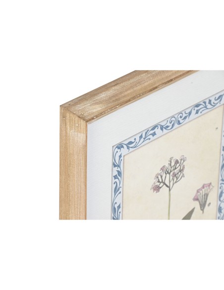 Cadre Home ESPRIT Shabby Chic Plantes botaniques 40 x 2,5 x 50 cm (4 Unités)