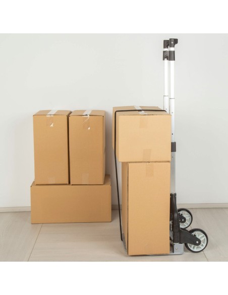 Chariot Multi-usages Aktive 40 x 100 x 40 cm (2 Unités)