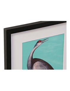 Cadre DKD Home Decor S3013651 Oiseaux Tropical (35 x 2 x 45 cm) (4 Unités) 2