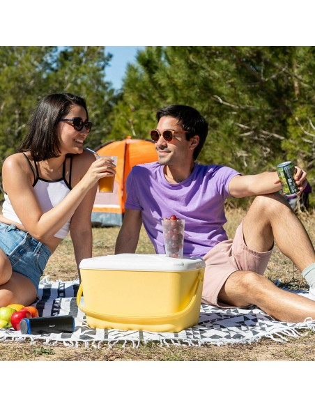 Glacière Rigide Portable Lilty InnovaGoods 15 L