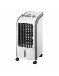 Climatisation Portable EDM 33516 80 W 3,6 L