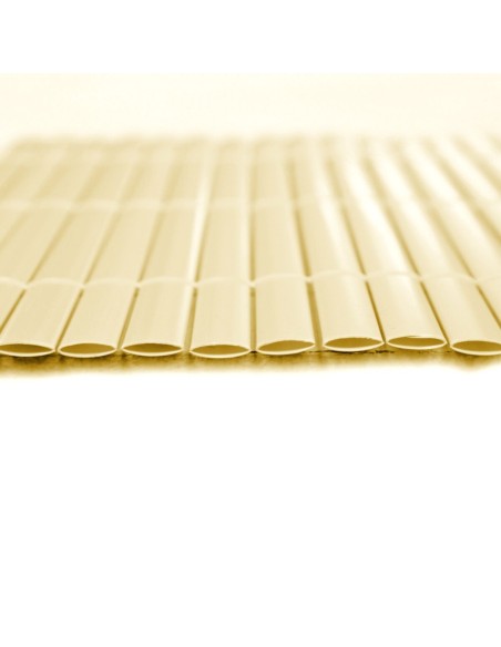 Palissade de Jardin Beige PVC 1 x 300 x 100 cm