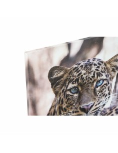Cadre DKD Home Decor Léopard Colonial (50 x 1,8 x 70 cm) 2