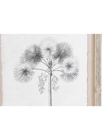 Cadre DKD Home Decor Palmiers Colonial (35 x 1,8 x 45 cm) (9 Unités)