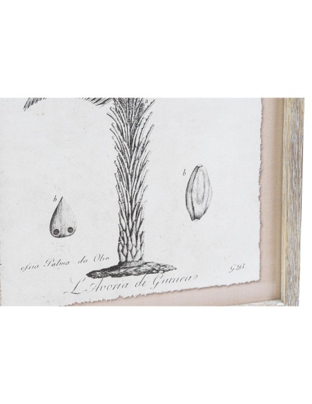 Cadre DKD Home Decor Palmiers Colonial (35 x 1,8 x 45 cm) (9 Unités)