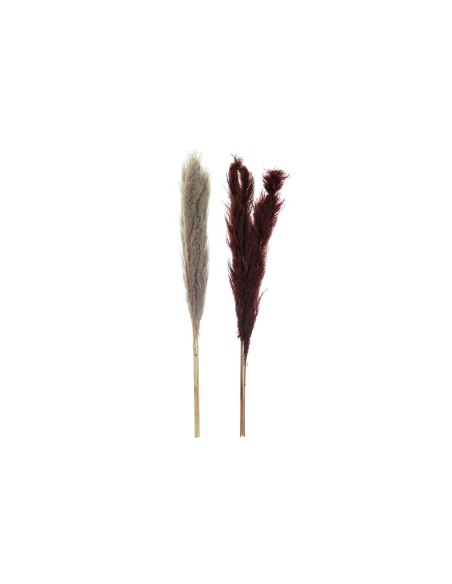 Plante décorative DKD Home Decor Beige Bordeaux (7 x 7 x 120 cm) (2 Unités)