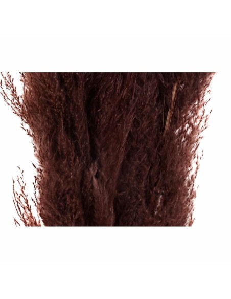 Plante décorative DKD Home Decor Beige Bordeaux (7 x 7 x 120 cm) (2 Unités)