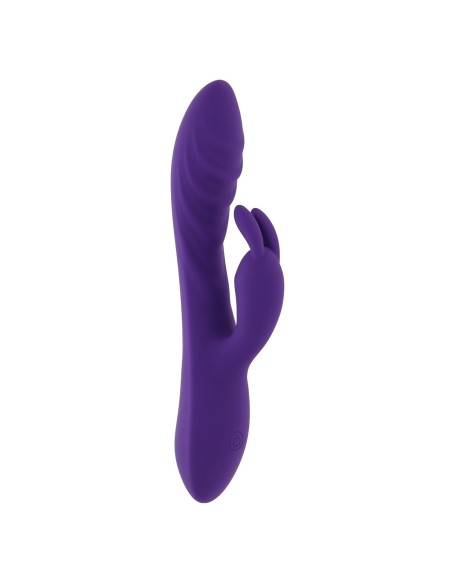 Vibrateur G-Spot Evolved Rabbit Violet