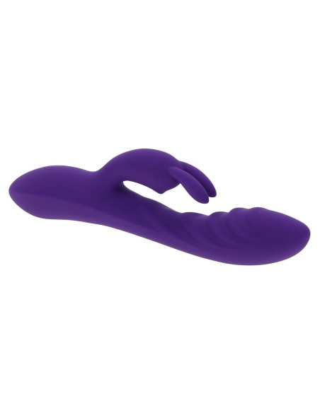 Vibrateur G-Spot Evolved Rabbit Violet