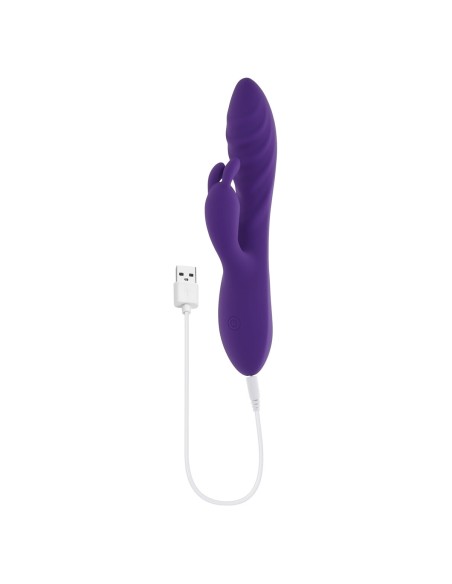 Vibrateur G-Spot Evolved Rabbit Violet