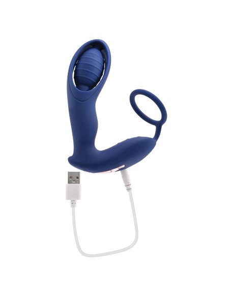 Plug Anal Zero Tolerance Zero Tolerance Bleu (12,9 cm)