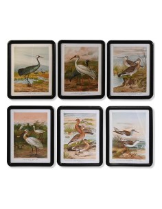 Cadre DKD Home Decor Verre Bois MDF Oiseaux (40 x 50 x 1,8 cm) (6 Unités)