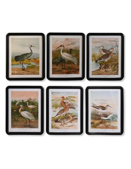 Cadre DKD Home Decor Verre Bois MDF Oiseaux (40 x 50 x 1,8 cm) (6 Unités)