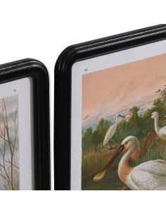 Cadre DKD Home Decor Verre Bois MDF Oiseaux (40 x 50 x 1,8 cm) (6 Unités) 2