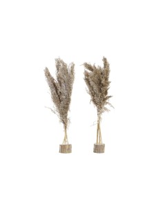 Plante décorative DKD Home Decor Plumes PVC Fibre (35 x 25 x 55 cm) (2 Unités)