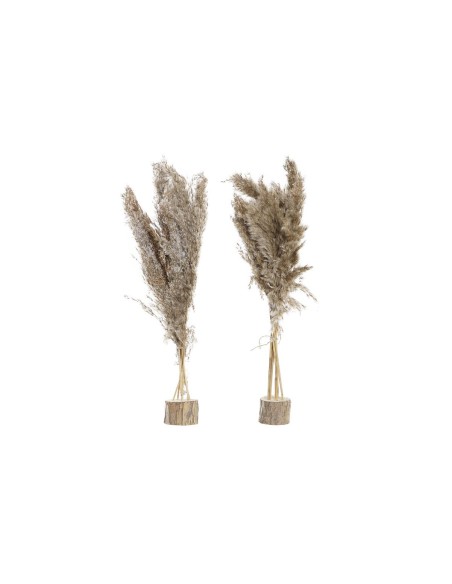 Plante décorative DKD Home Decor Plumes PVC Fibre (35 x 25 x 55 cm) (2 Unités)