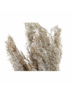 Plante décorative DKD Home Decor Plumes PVC Fibre (35 x 25 x 55 cm) (2 Unités) 2
