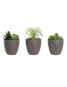 Plante décorative DKD Home Decor Gris Beige Polyéthylène Vert polypropylène (11 x 11 x 15 cm) (3 Unités)