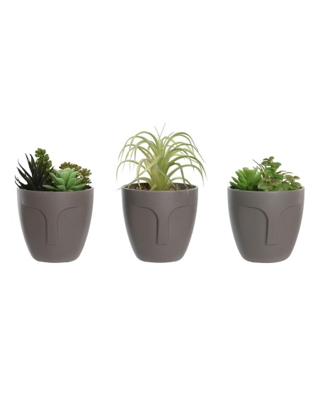 Plante décorative DKD Home Decor Gris Beige Polyéthylène Vert polypropylène (11 x 11 x 15 cm) (3 Unités)