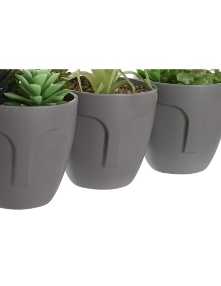 Plante décorative DKD Home Decor Gris Beige Polyéthylène Vert polypropylène (11 x 11 x 15 cm) (3 Unités)