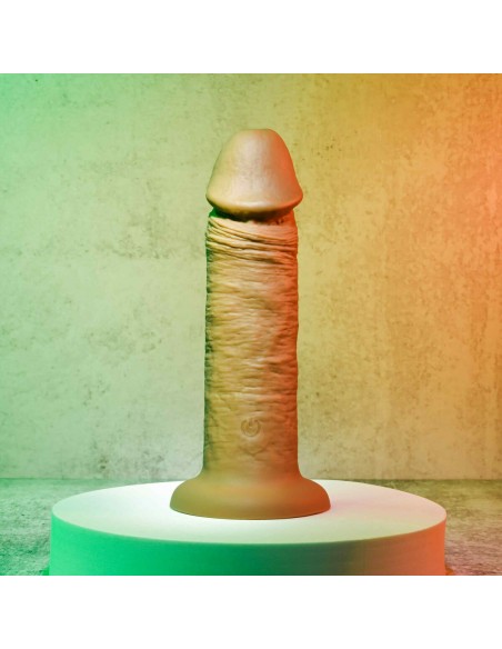 Gode réaliste Evolved Silicone Ø 4,8 cm (15,2 cm)