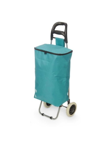 Panier à Courses Kinvara RS-020 NO.45 Turquoise 32 L 94 x 9 x 34,5 cm (6 Unités)
