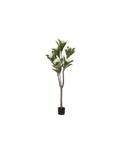 Arbre Home ESPRIT Polyéthylène 80 x 80 x 150 cm
