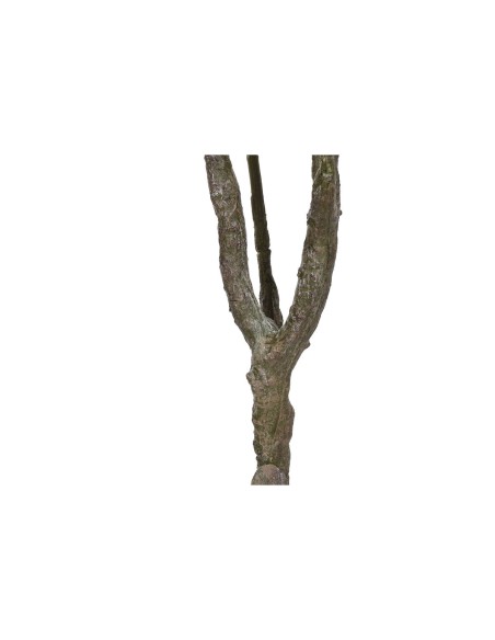 Arbre Home ESPRIT Polyéthylène 80 x 80 x 150 cm