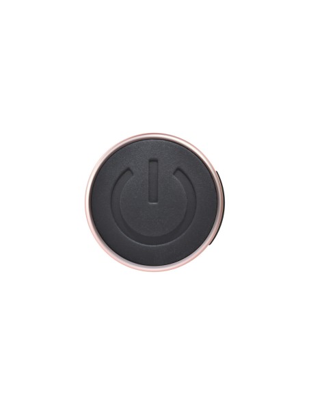 Vibrateur G-Spot Playboy Playboy Multicouleur