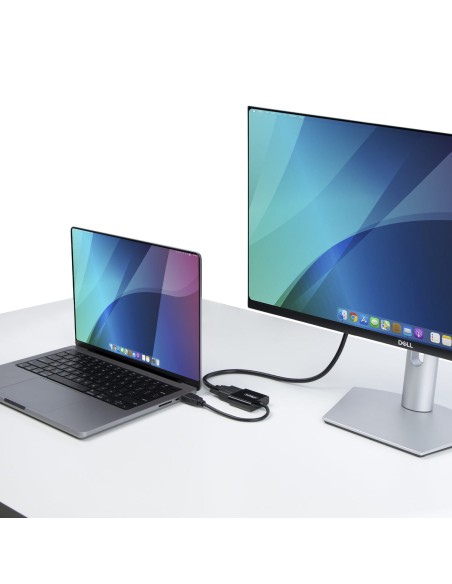 Câble VGA Startech HD2VGAE3