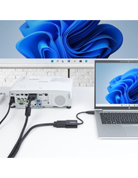 Câble VGA Startech HD2VGAE3